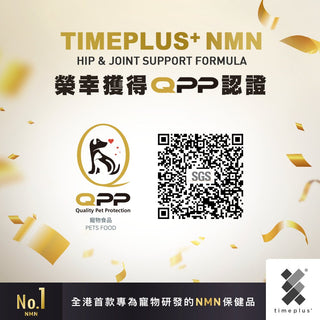 Timeplus+