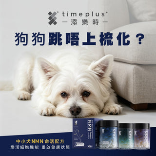 Timeplus+