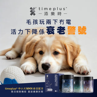 Timeplus+