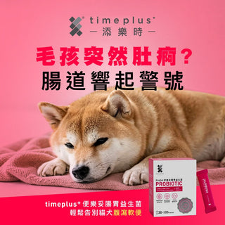 Timeplus+