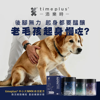 Timeplus+