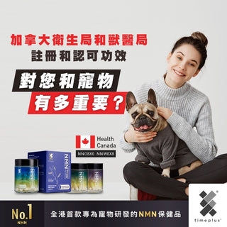 Timeplus+
